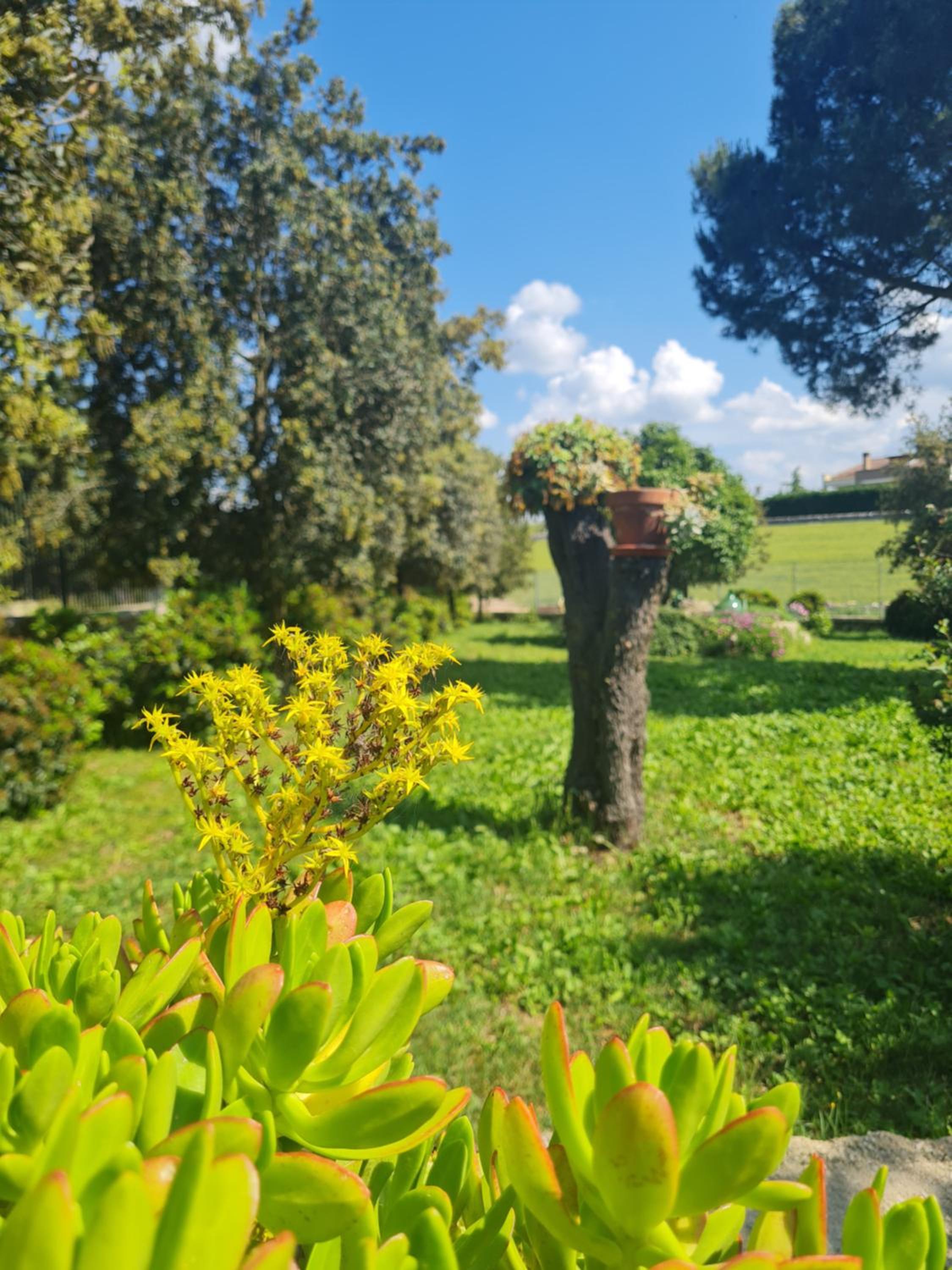 AgriBio Villa Ribes