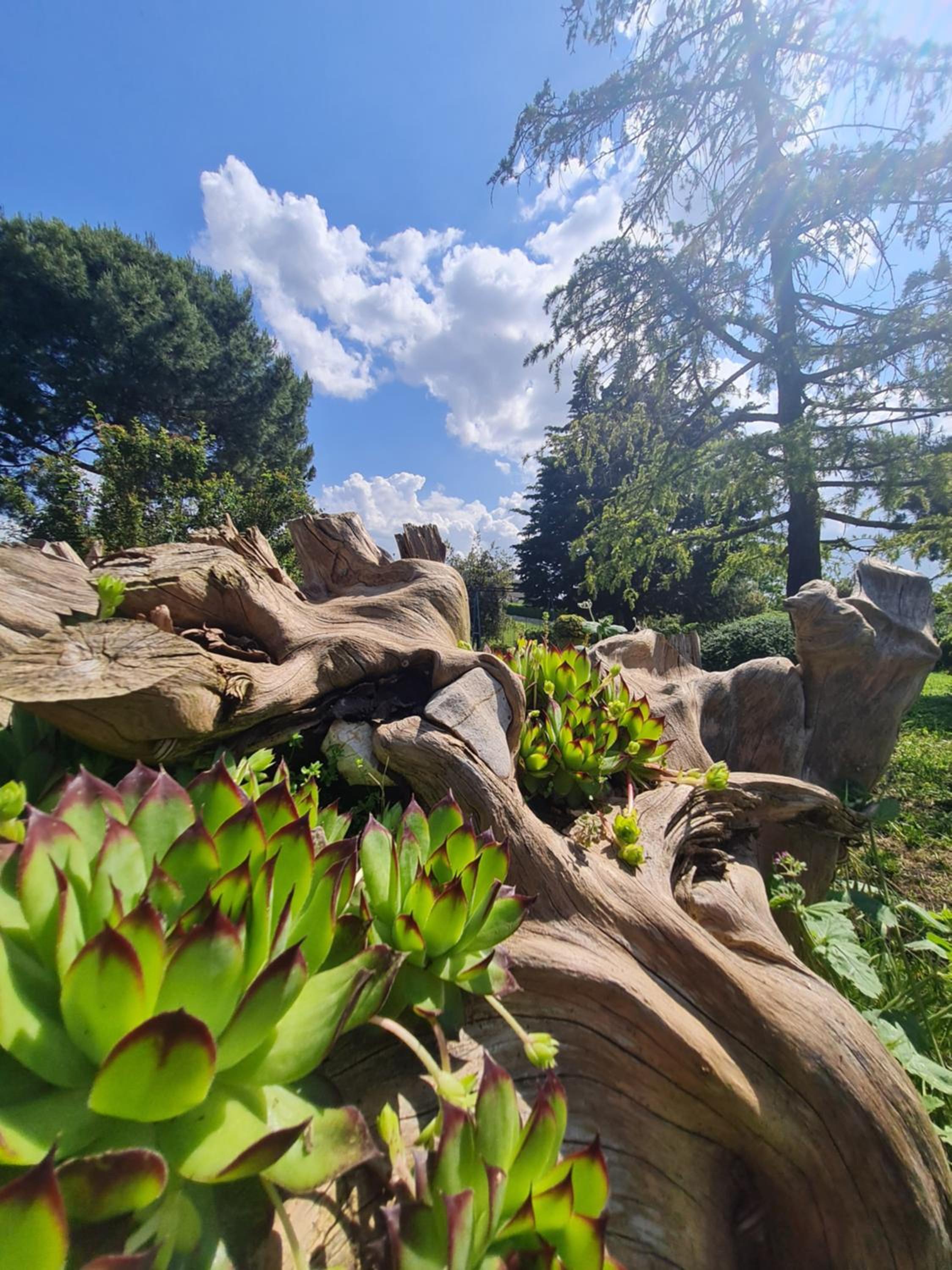 AgriBio Villa Ribes