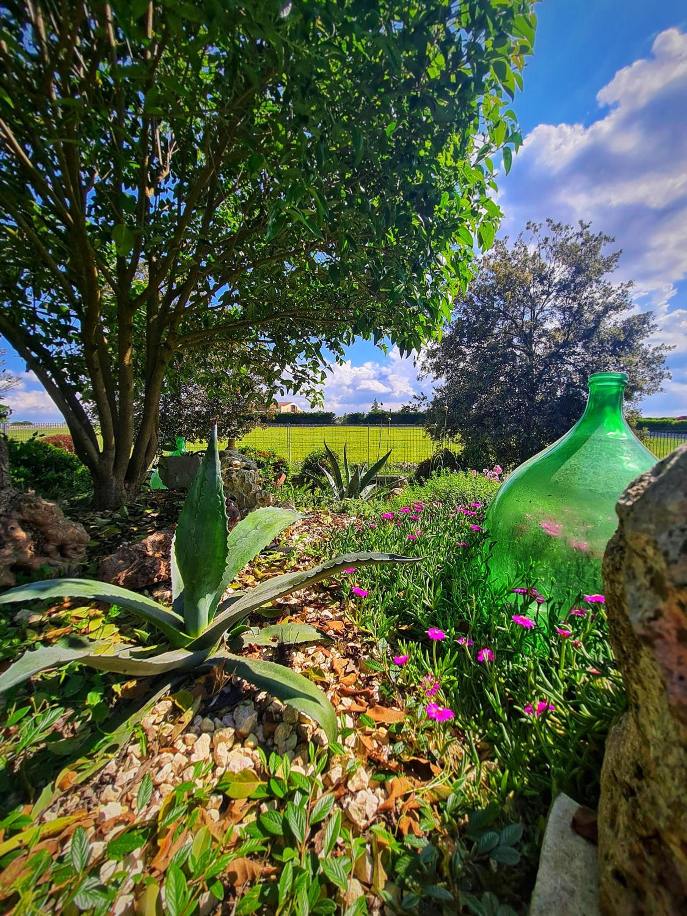 AgriBio Villa Ribes