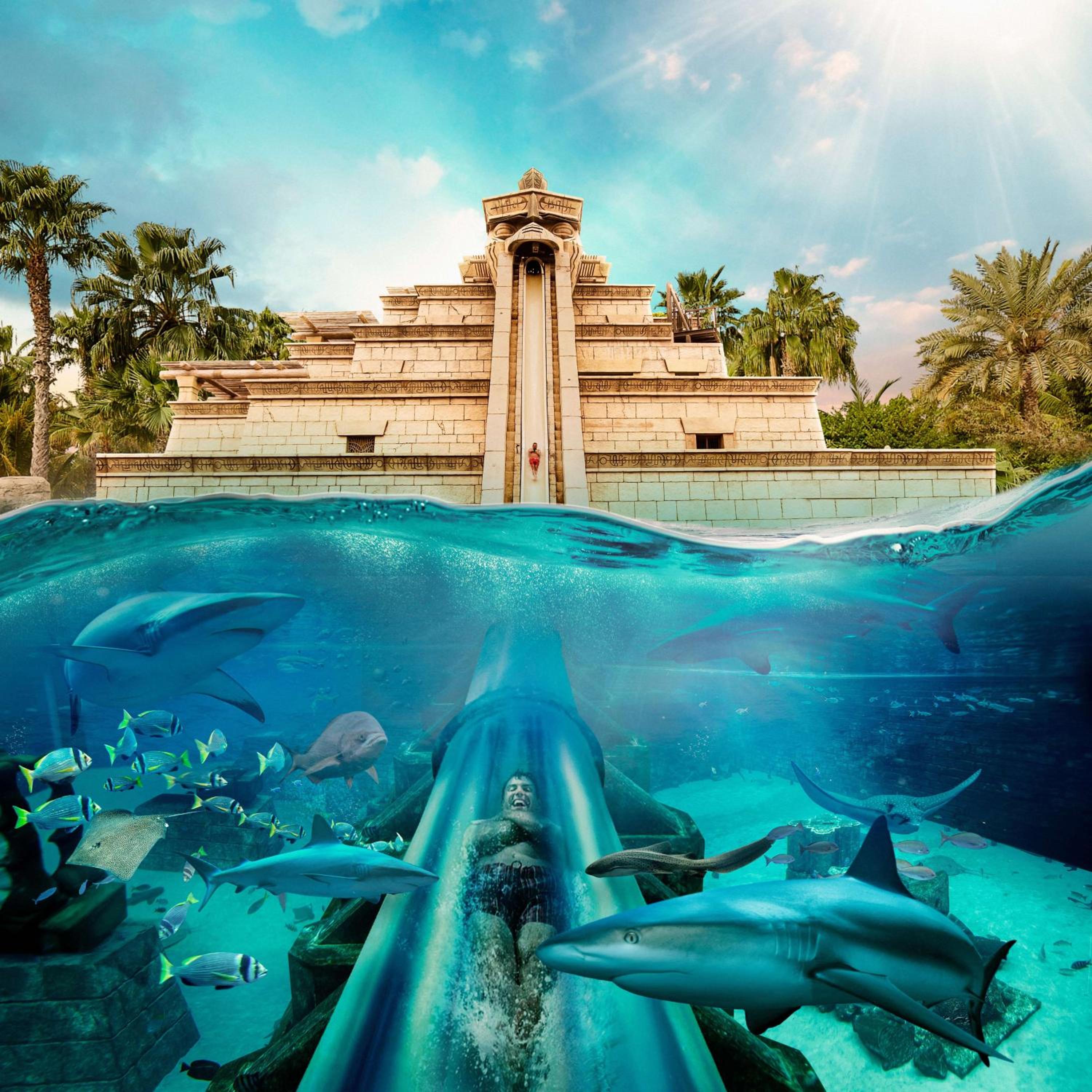Atlantis, The Palm 照片第 45 張,共 185 張