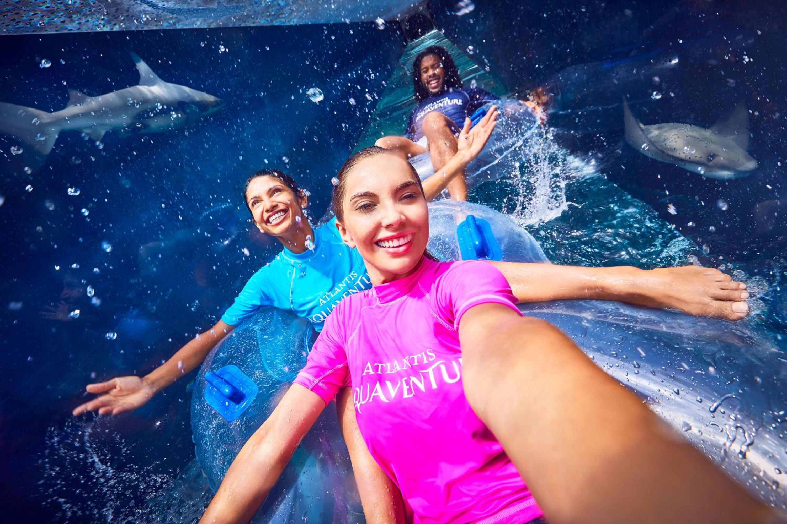Atlantis, The Palm 照片第 177 張,共 185 張