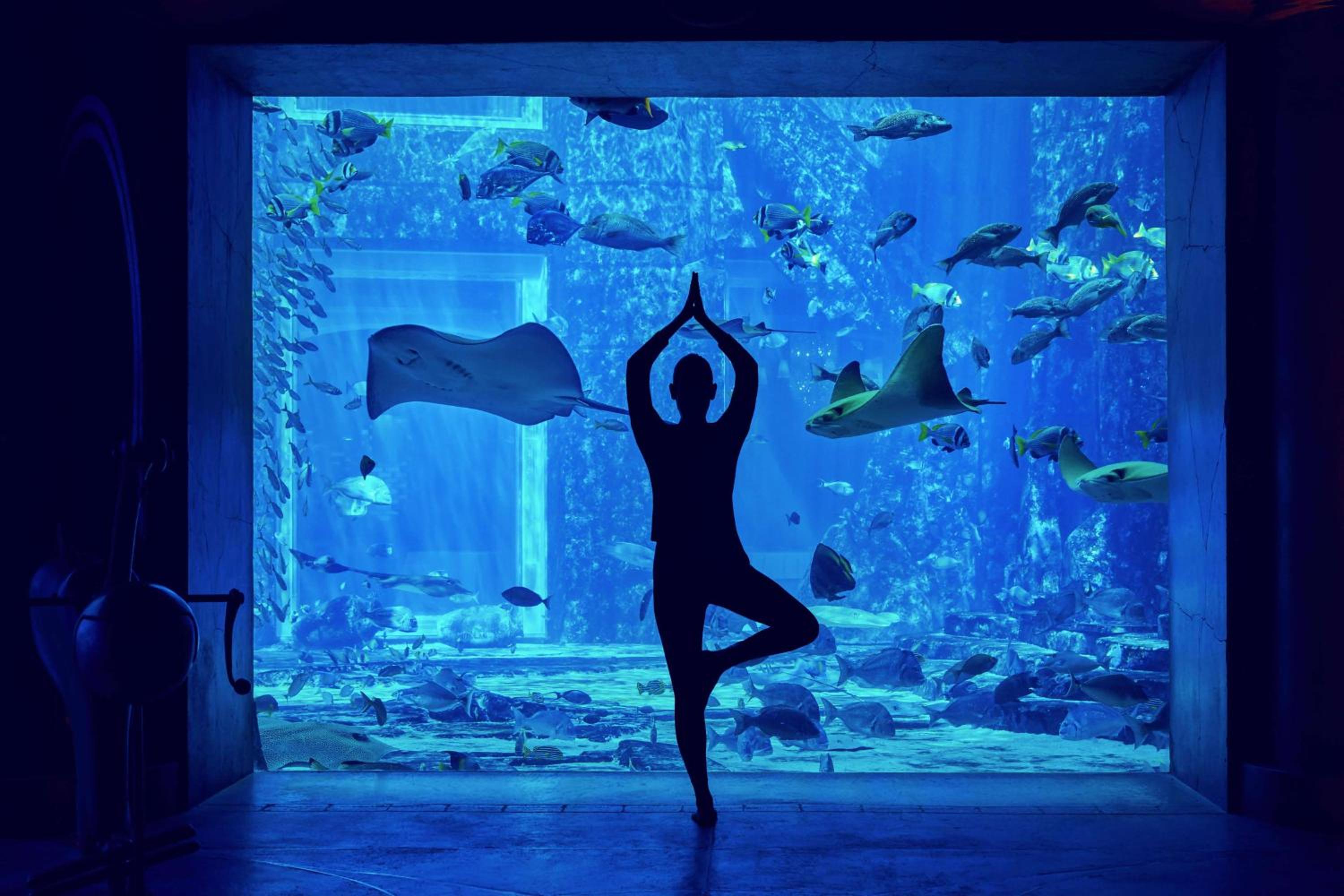 Atlantis, The Palm 照片第 121 張,共 185 張