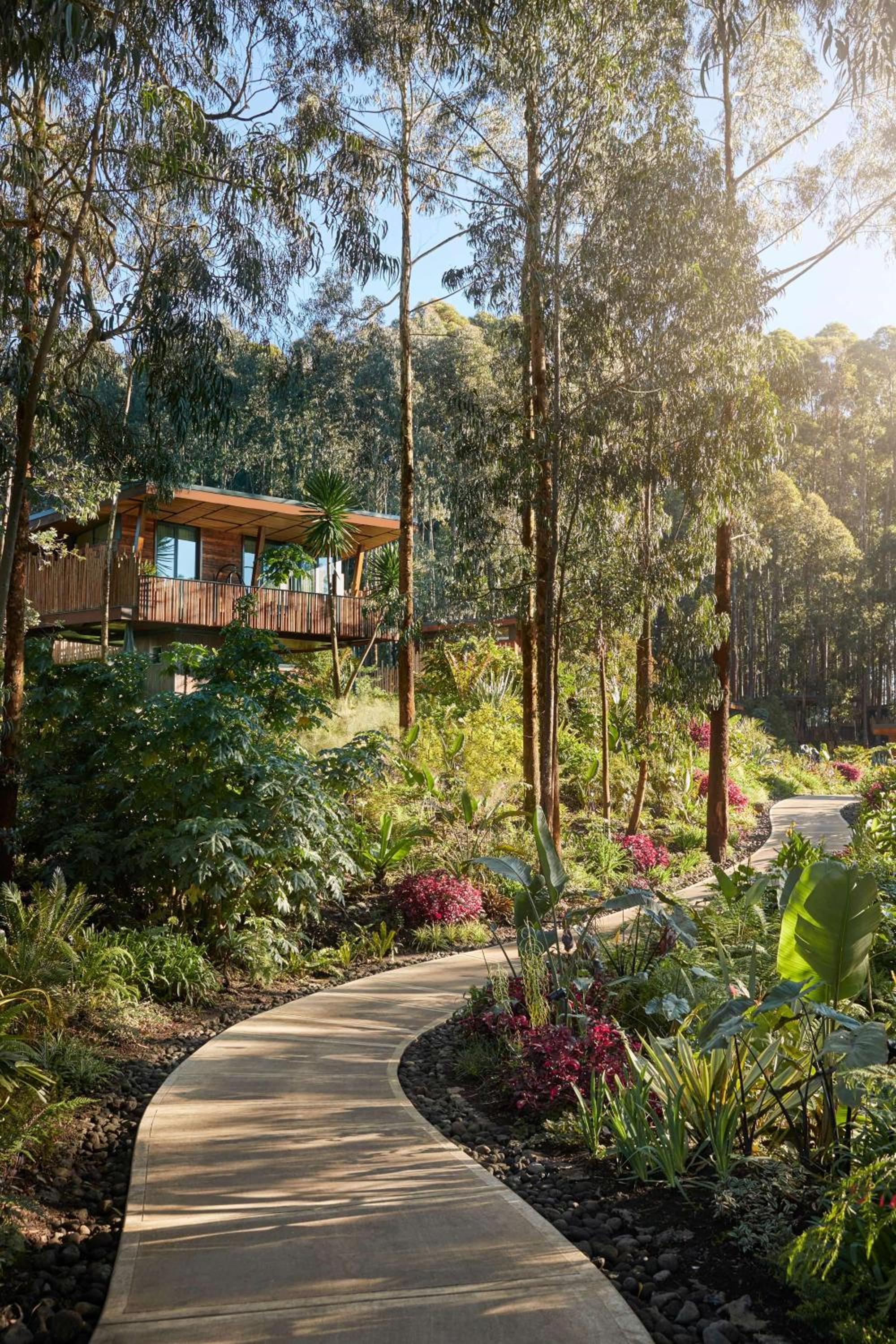 Photo 68