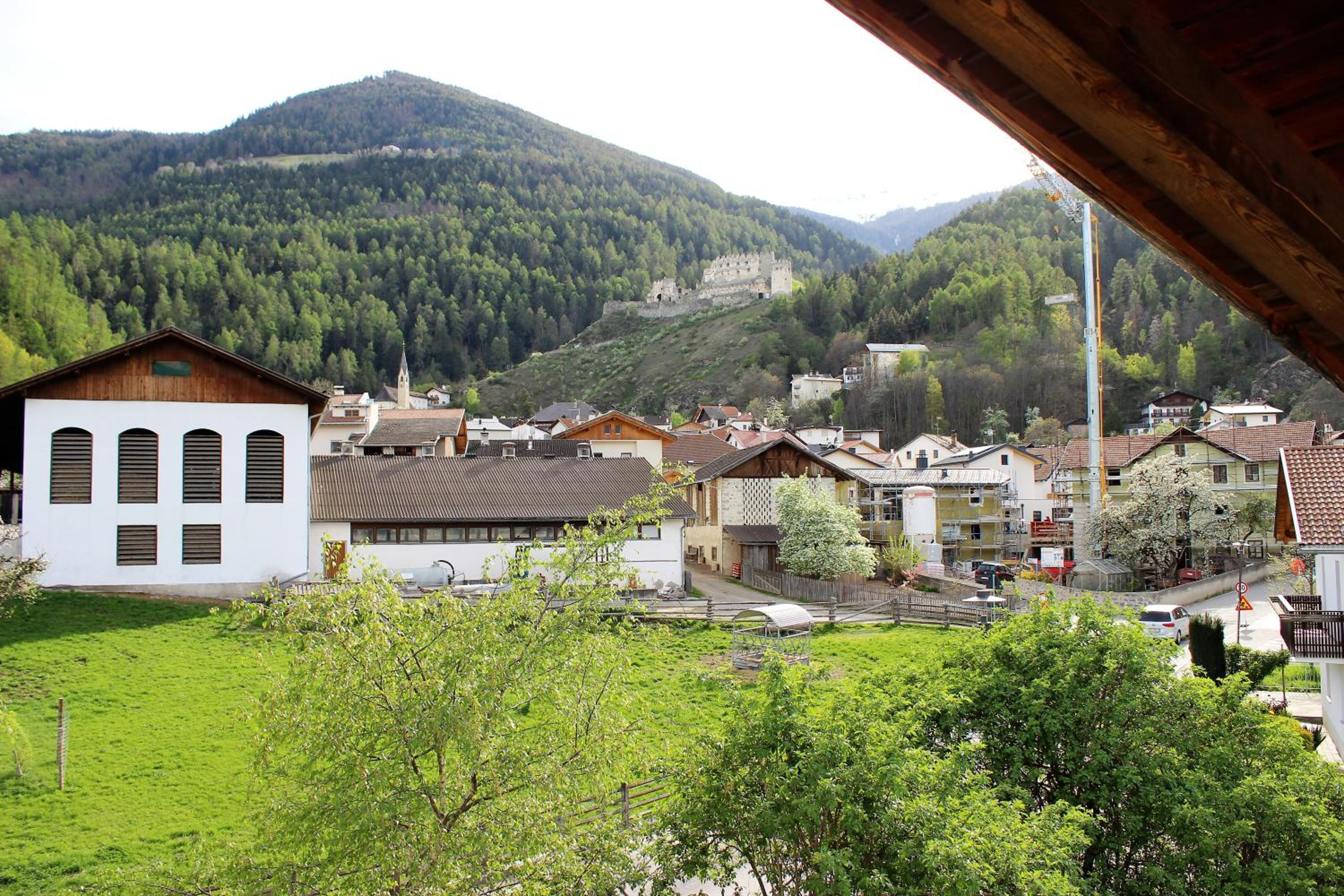 Photo 26