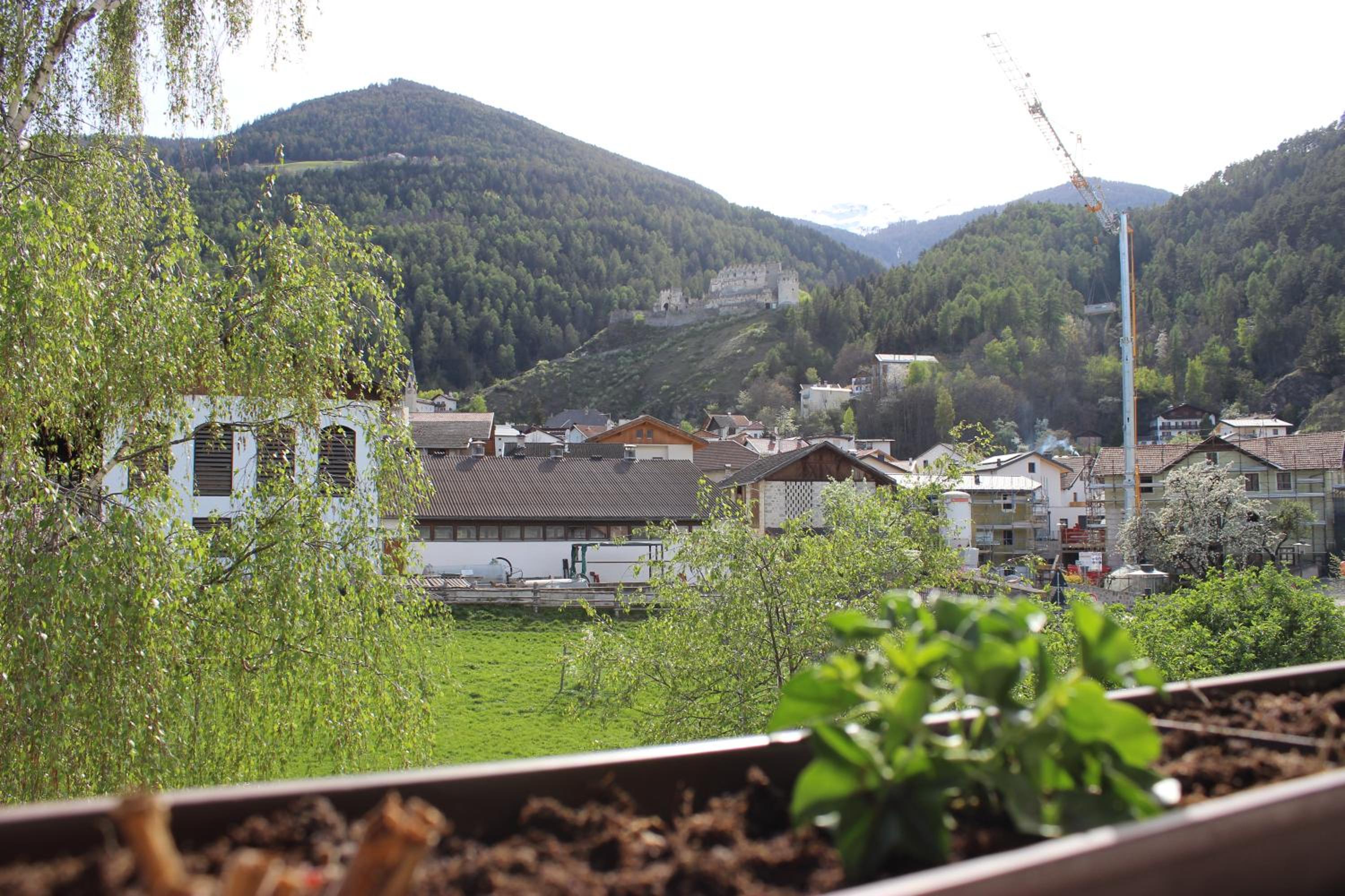 Photo 21