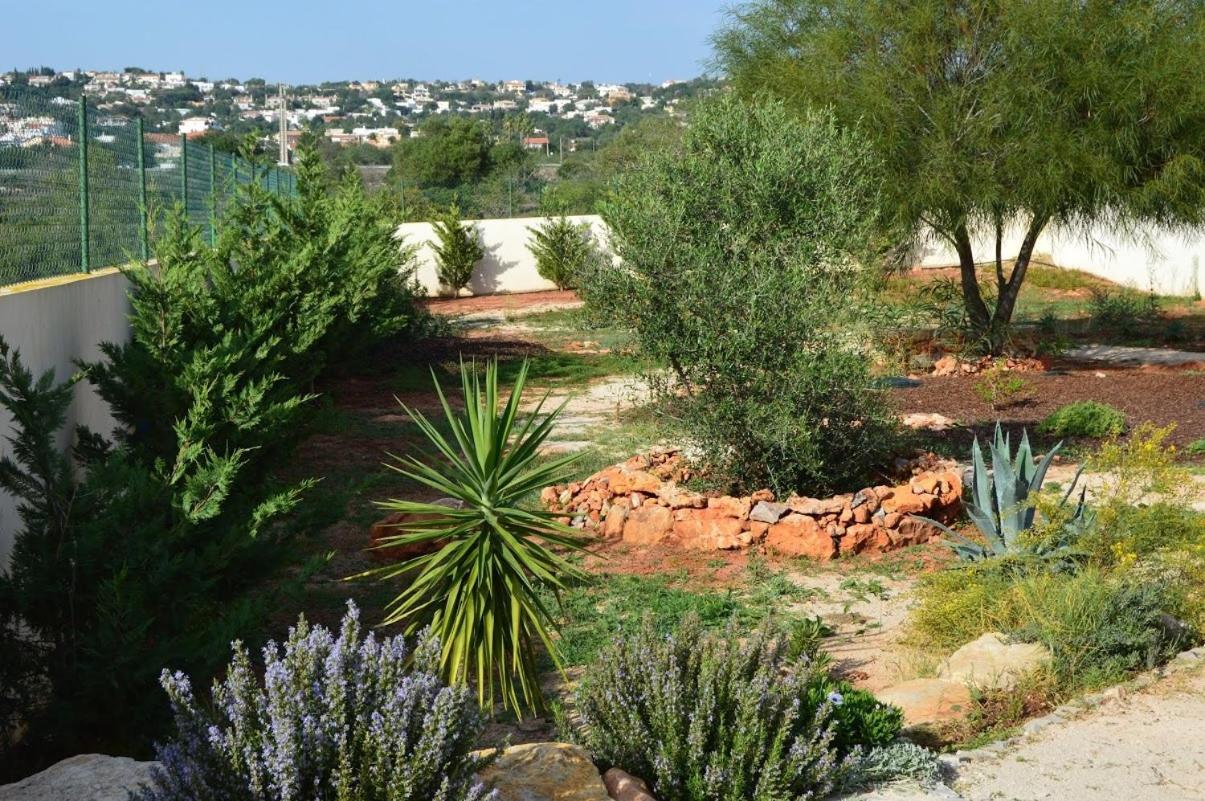 Almancil Vacations - Villa Luna - Property Image 3