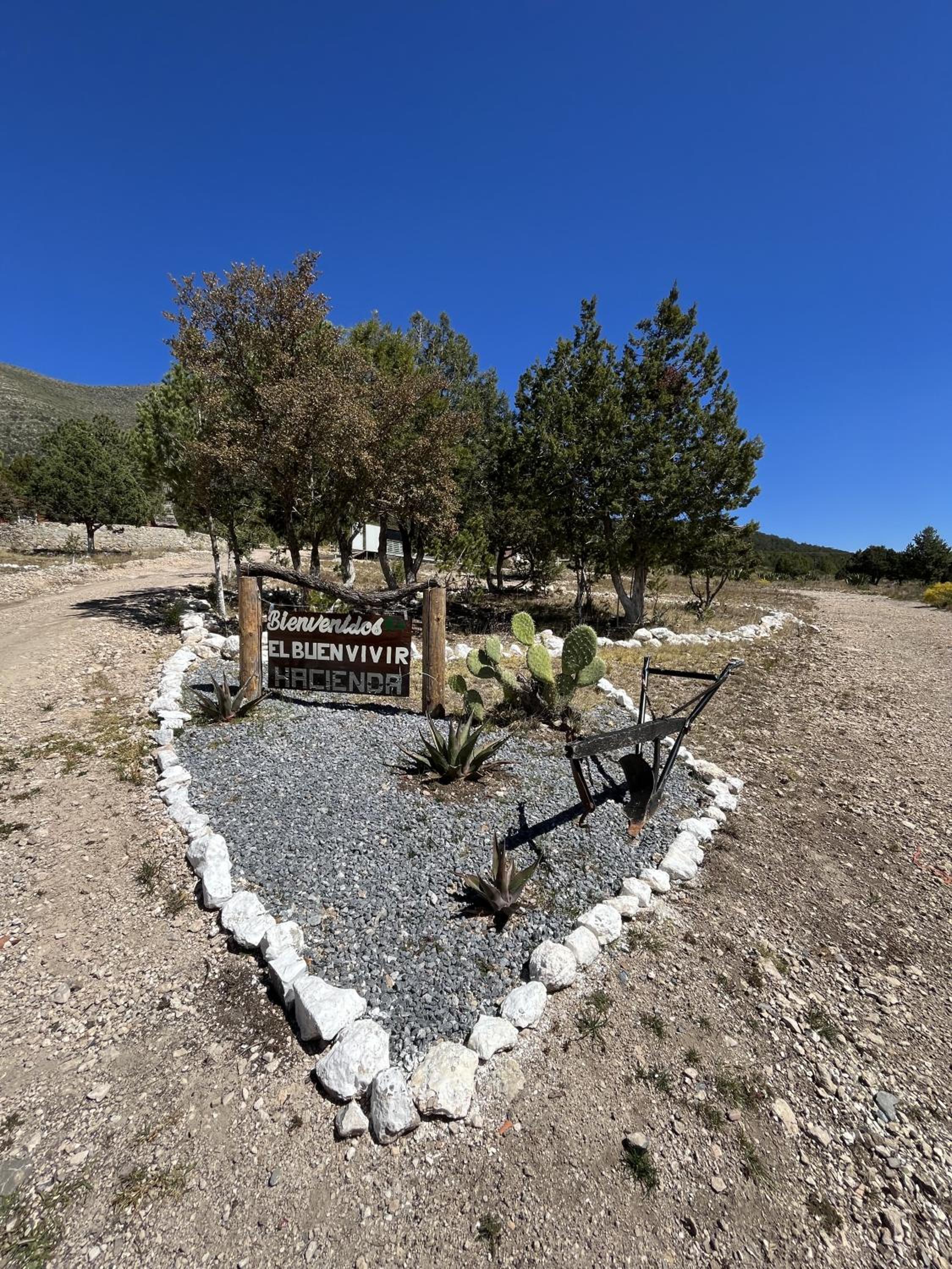 Glamping en la Sierra de Arteaga