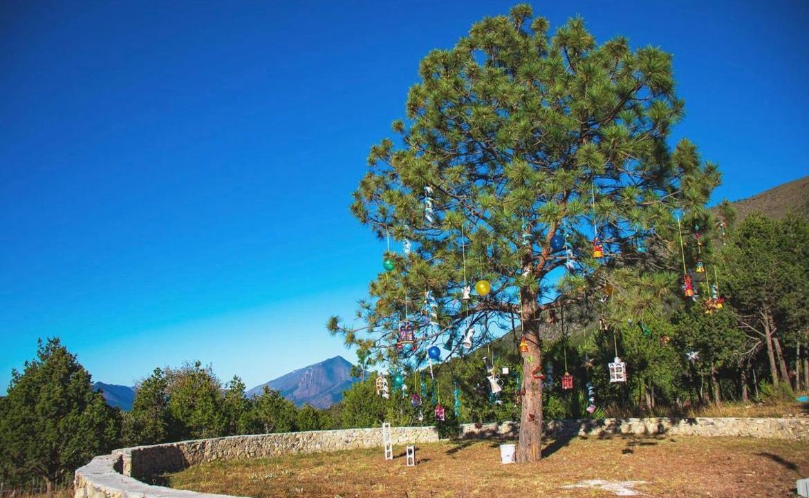 Glamping en la Sierra de Arteaga