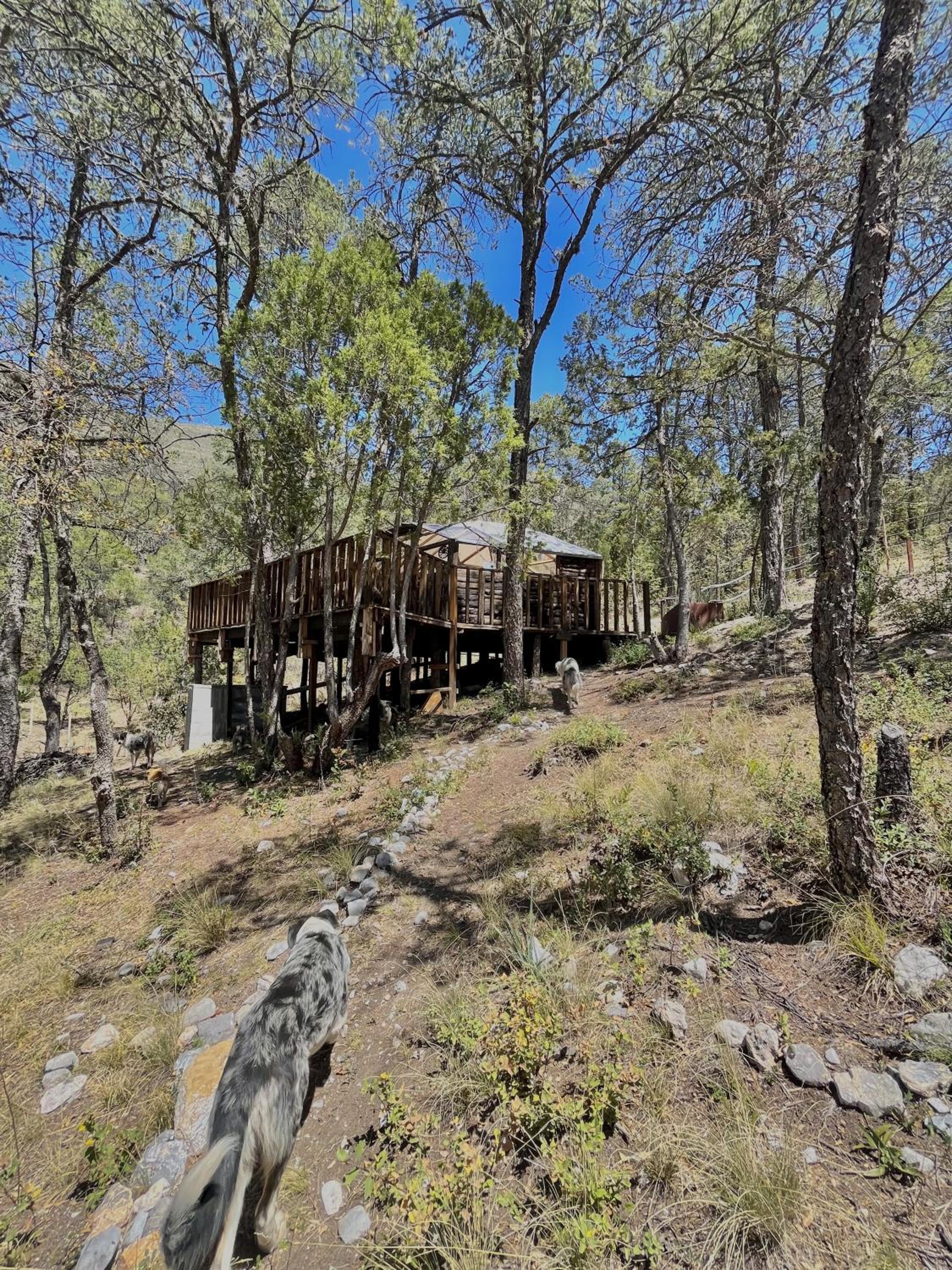 Glamping en la Sierra de Arteaga