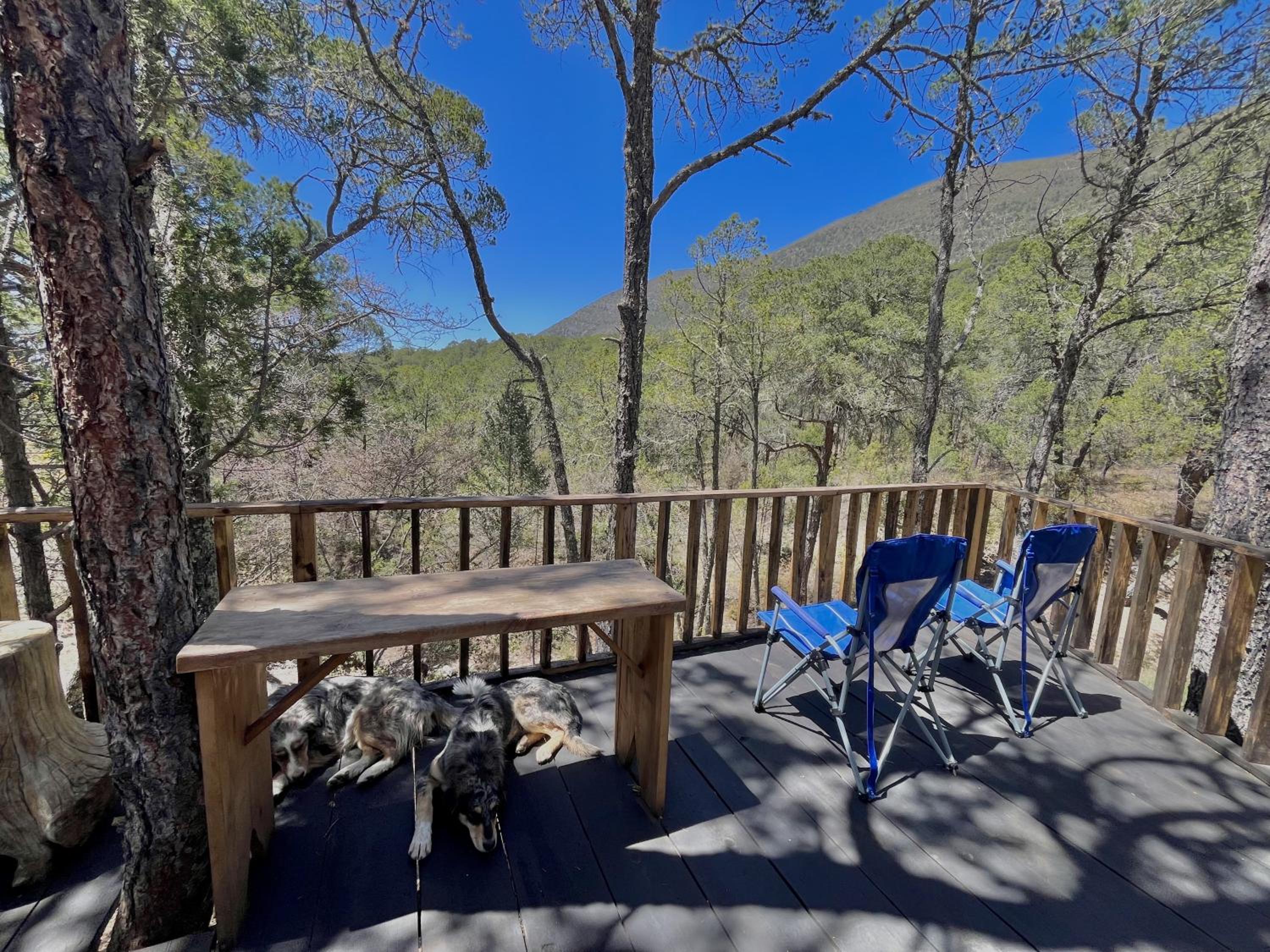 Glamping en la Sierra de Arteaga