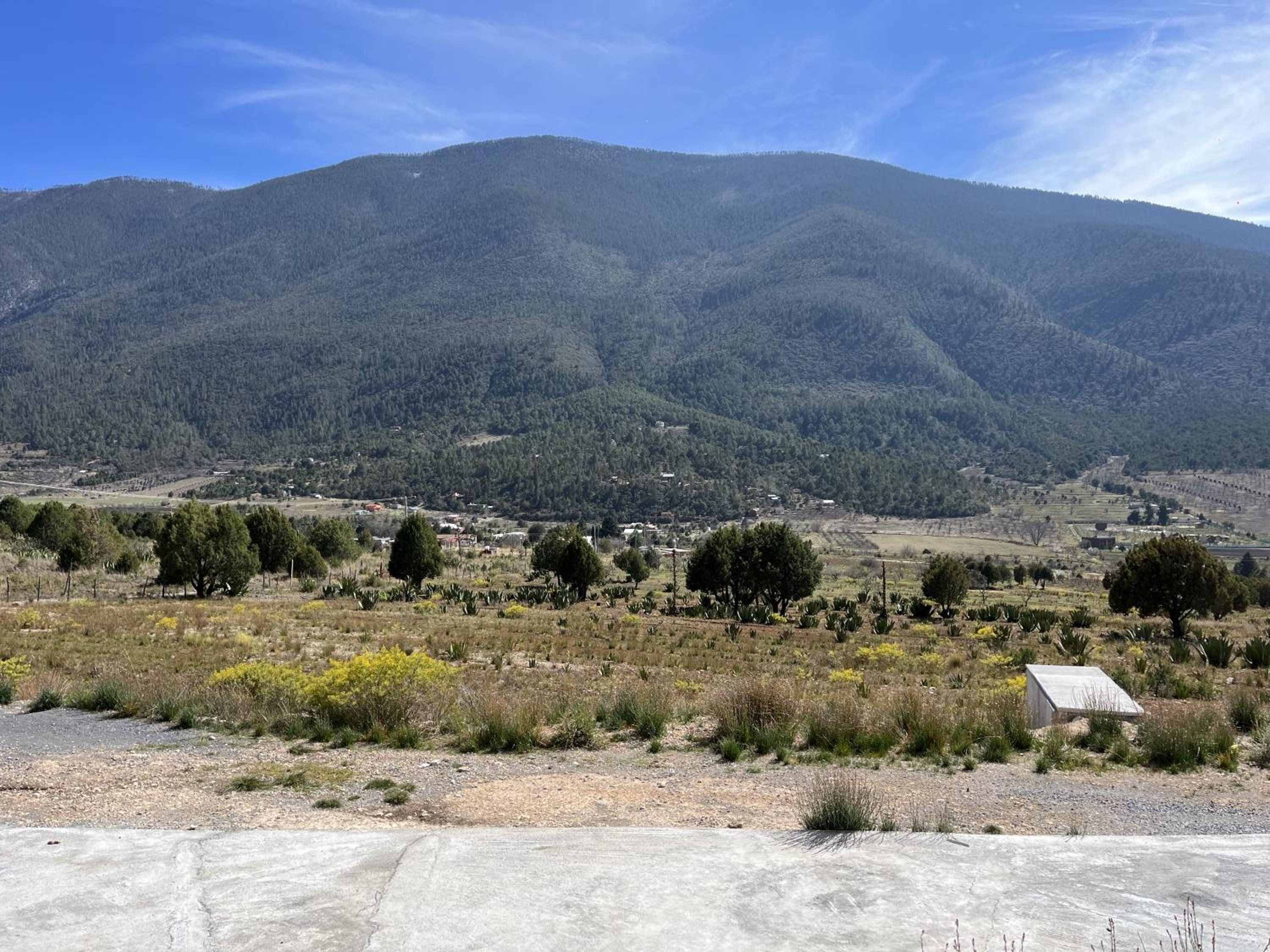 Glamping en la Sierra de Arteaga