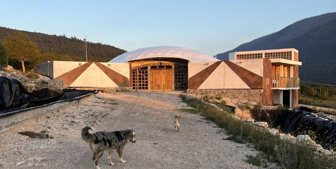Glamping en la Sierra de Arteaga