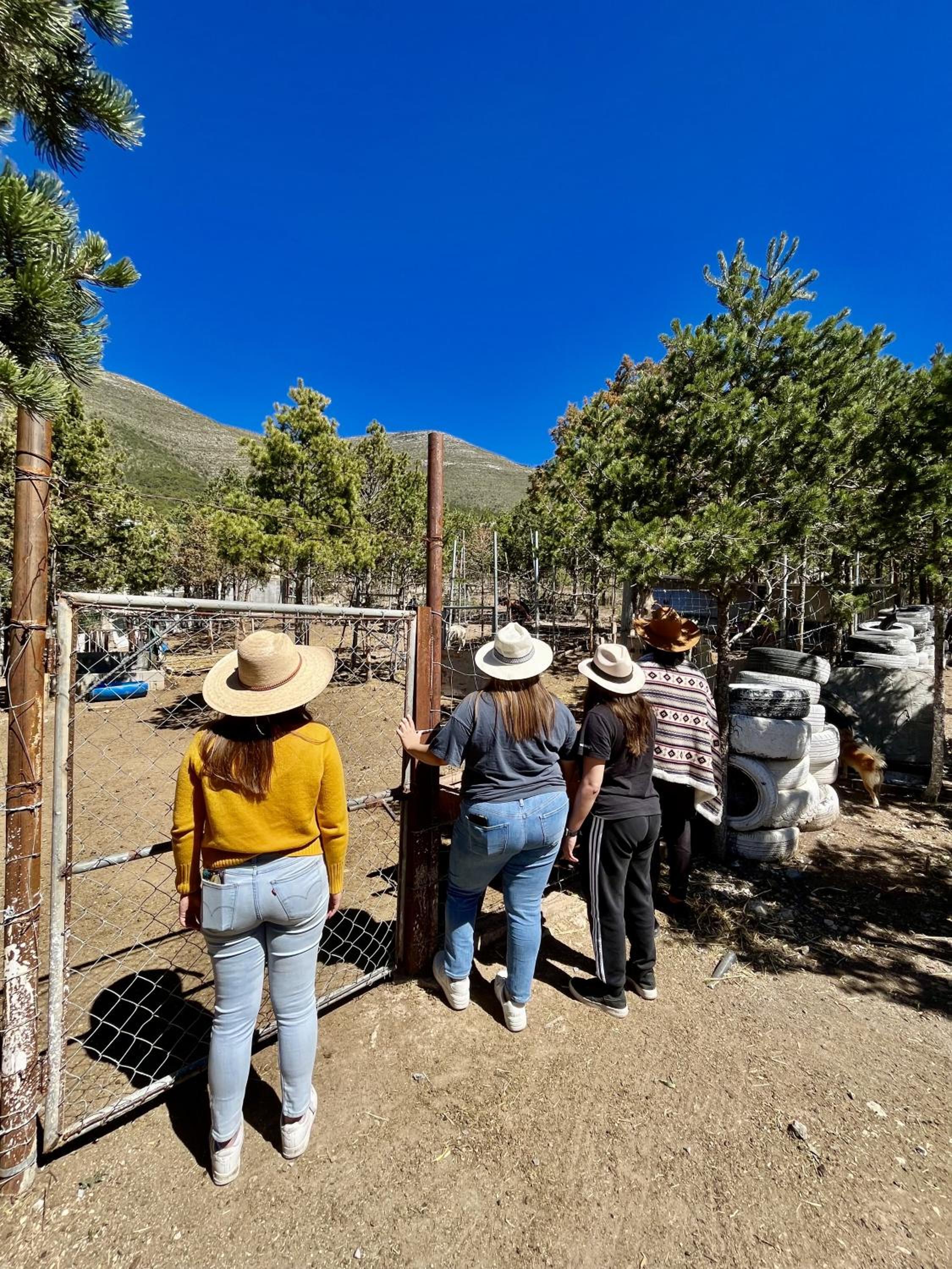 Glamping en la Sierra de Arteaga