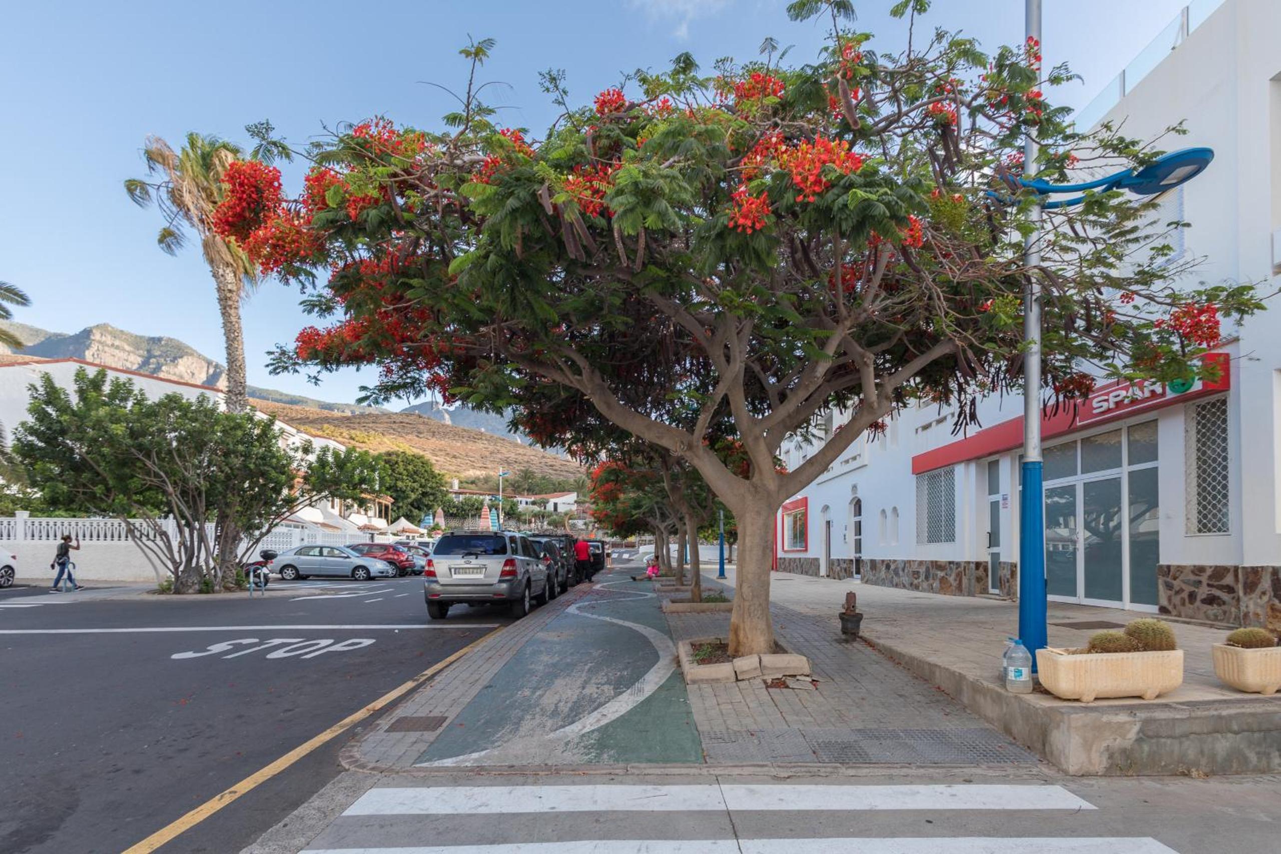 GuestReady Residencial La Palmita Agaete con piscina