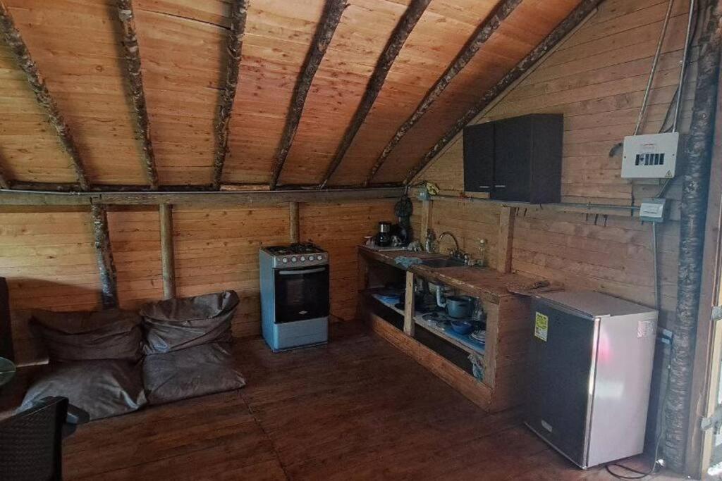 Eco Aldea Cabaña entre helechos