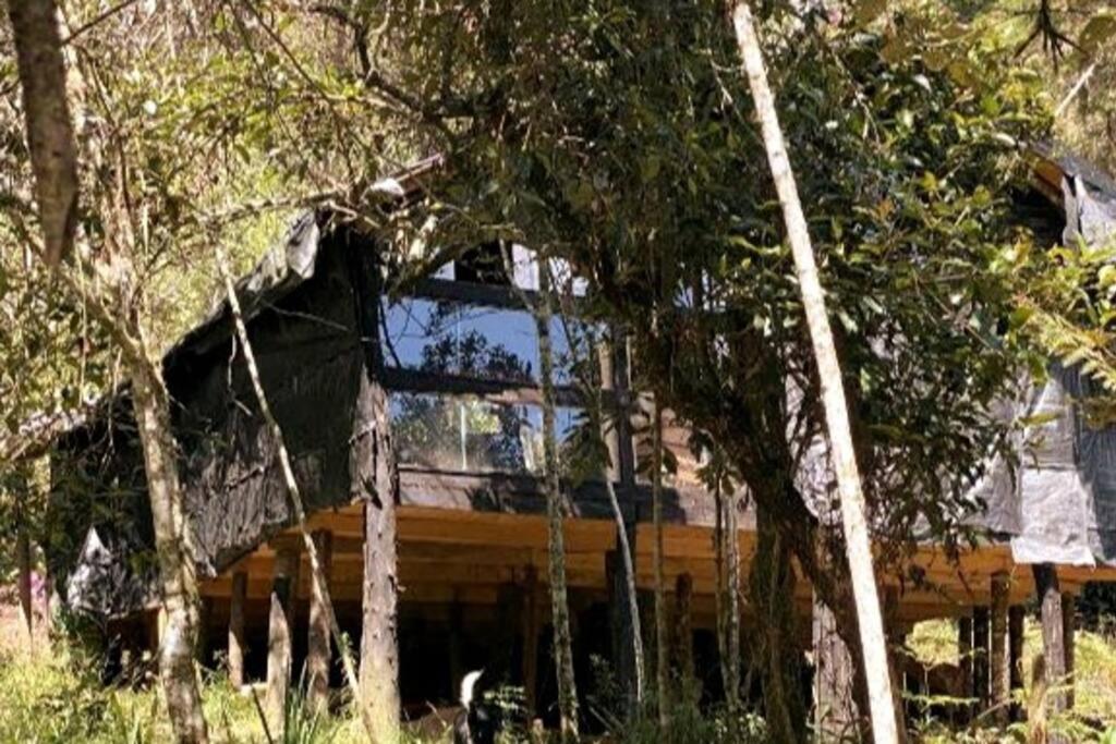 Eco Aldea Cabaña entre helechos
