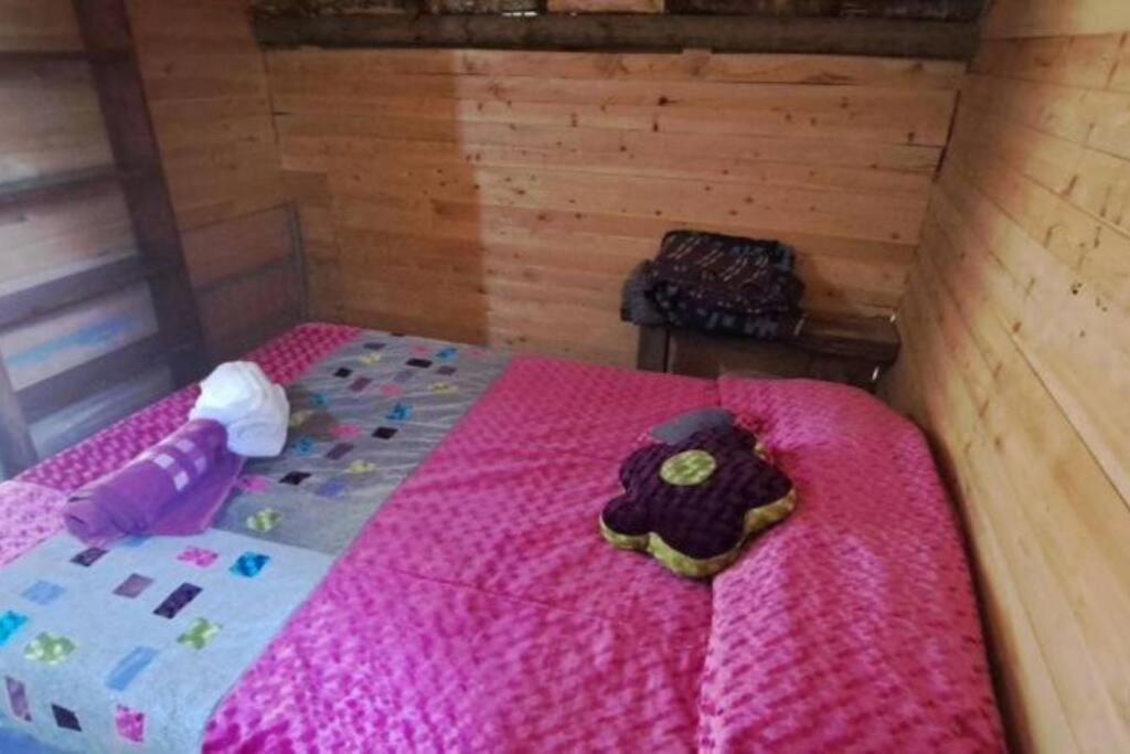 Eco Aldea Cabaña entre helechos