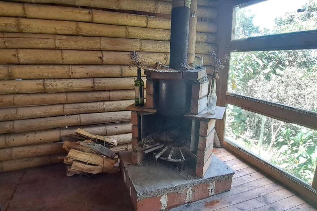 Eco Aldea Cabaña entre helechos