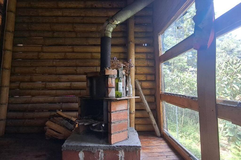 Eco Aldea Cabaña entre helechos
