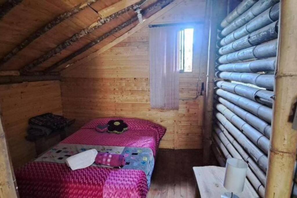 Eco Aldea Cabaña entre helechos