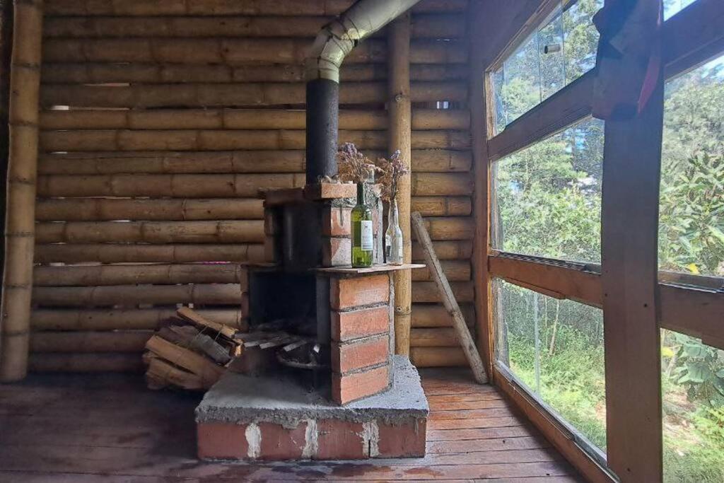 Eco Aldea Cabaña entre helechos