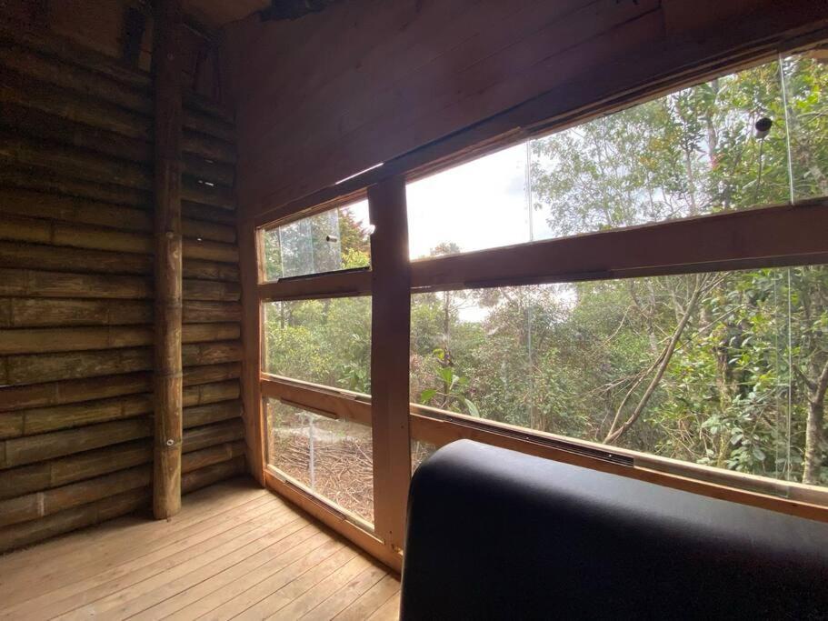 Eco Aldea Cabaña entre helechos
