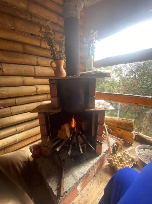 Eco Aldea Cabaña entre helechos