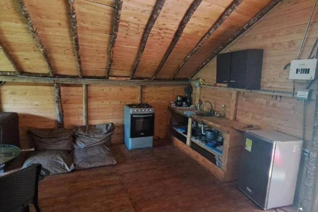 Eco Aldea Cabaña entre helechos