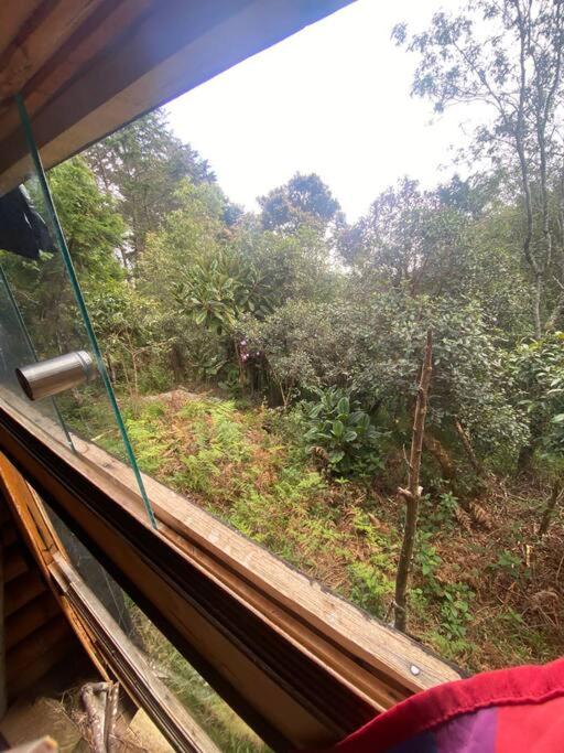 Eco Aldea Cabaña entre helechos