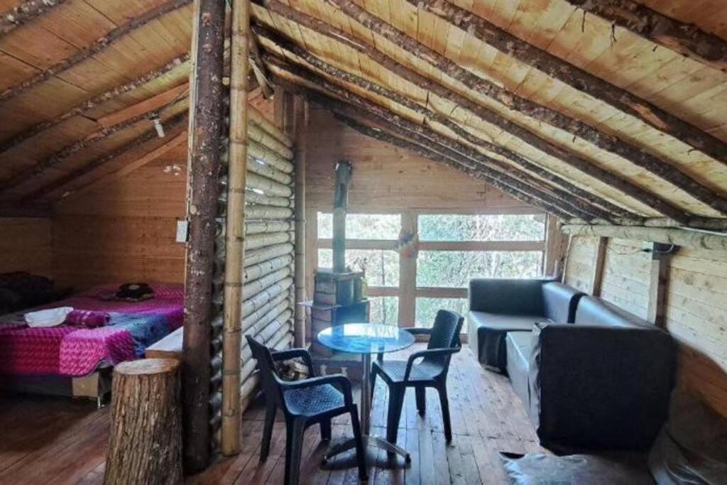 Eco Aldea Cabaña entre helechos