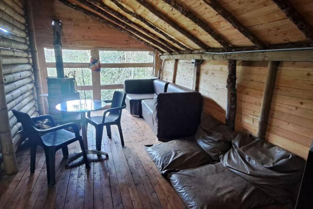 Eco Aldea Cabaña entre helechos