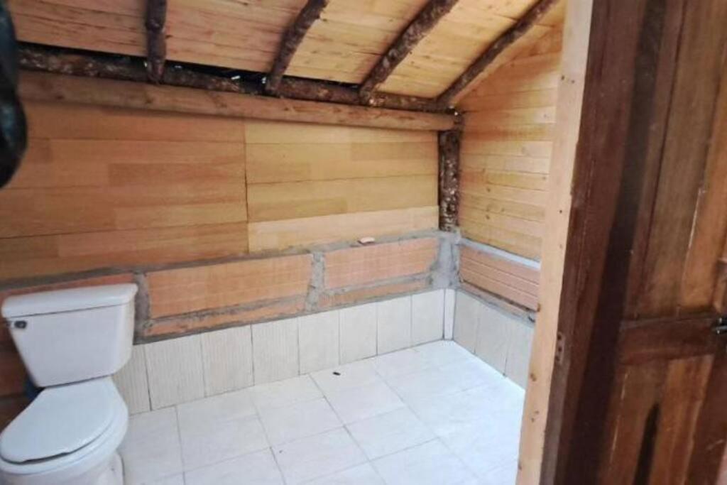 Eco Aldea Cabaña entre helechos