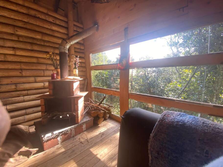 Eco Aldea Cabaña entre helechos