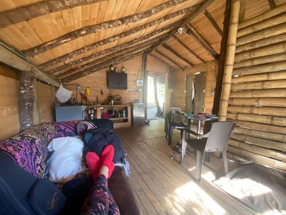 Eco Aldea Cabaña entre helechos