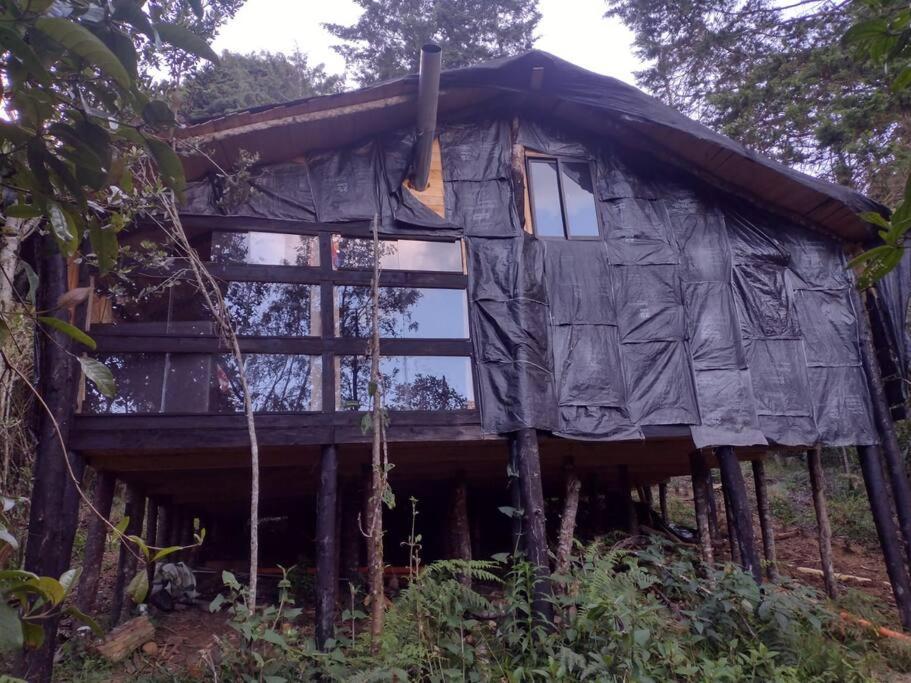 Eco Aldea Cabaña entre helechos