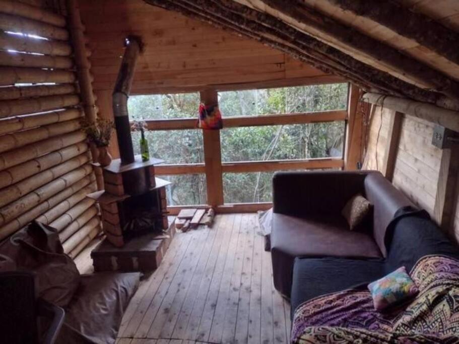 Eco Aldea Cabaña entre helechos
