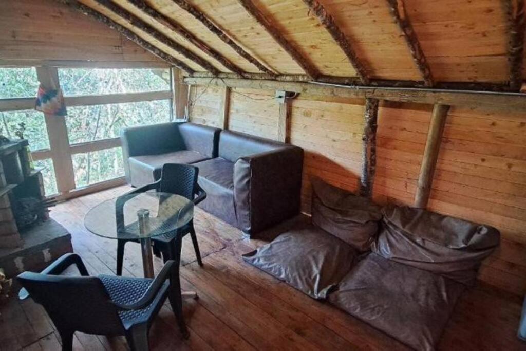 Eco Aldea Cabaña entre helechos