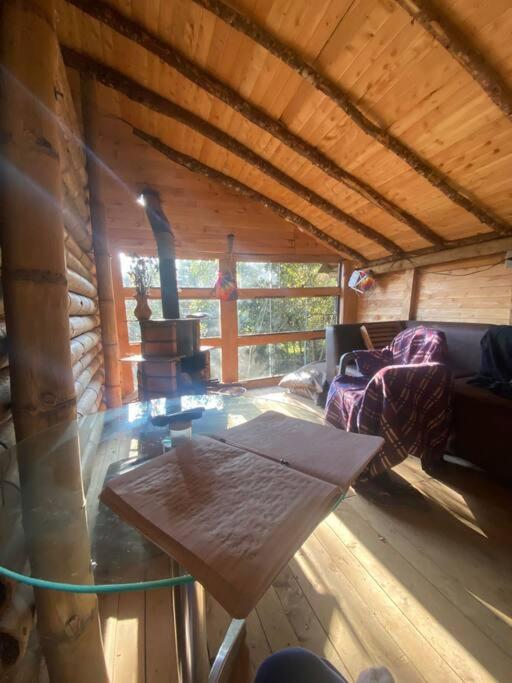 Eco Aldea Cabaña entre helechos