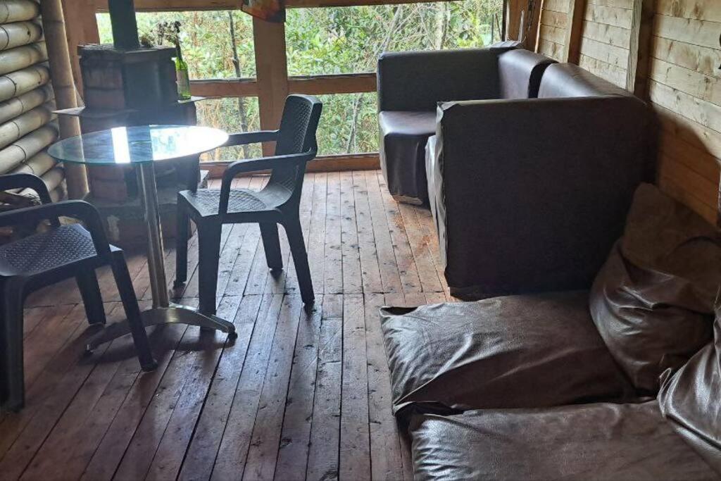 Eco Aldea Cabaña entre helechos