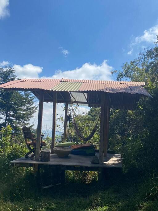 Eco Aldea Cabaña entre helechos