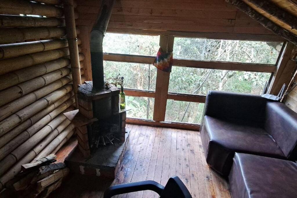 Eco Aldea Cabaña entre helechos