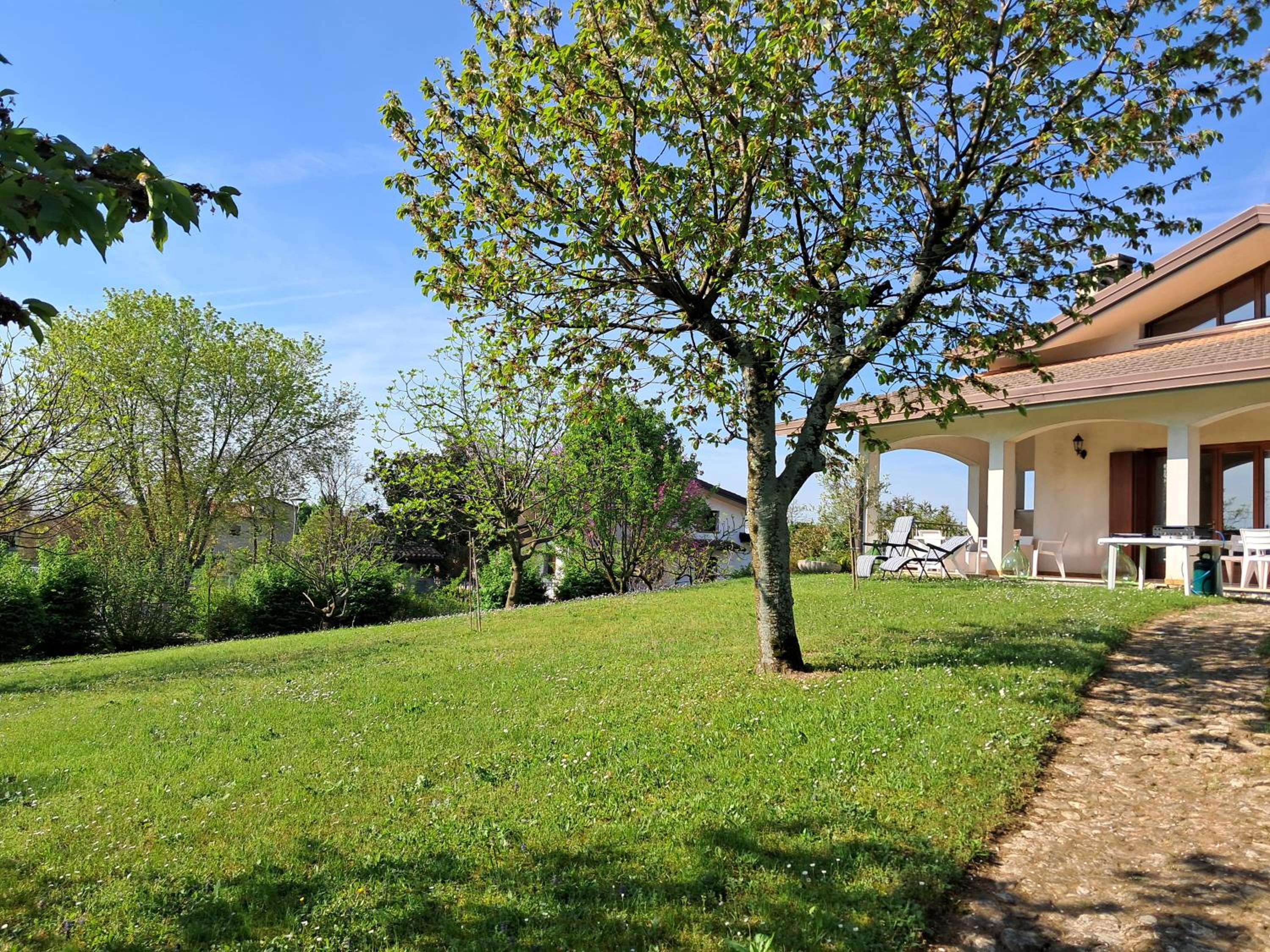 Photo 44