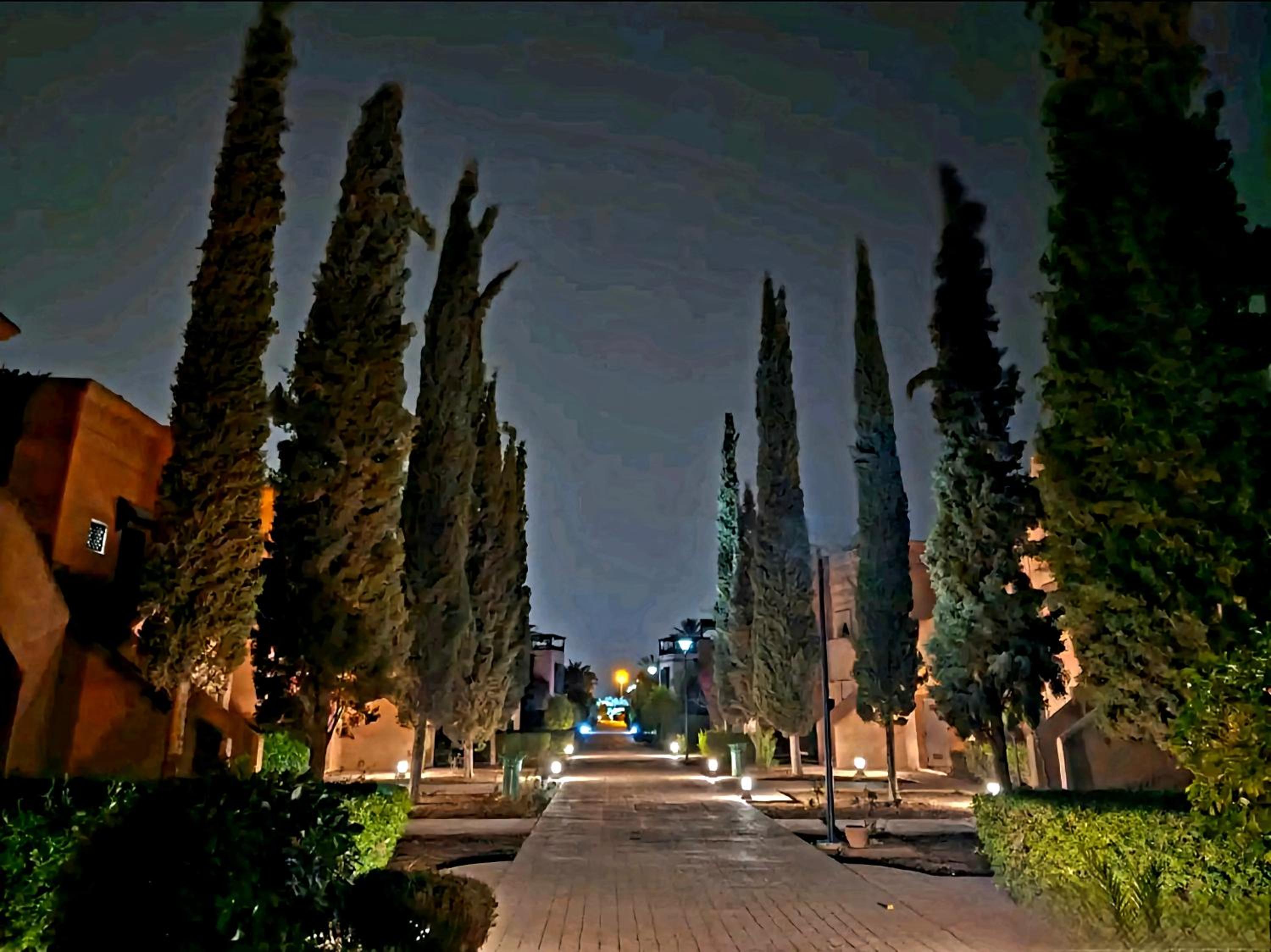 Photo 40