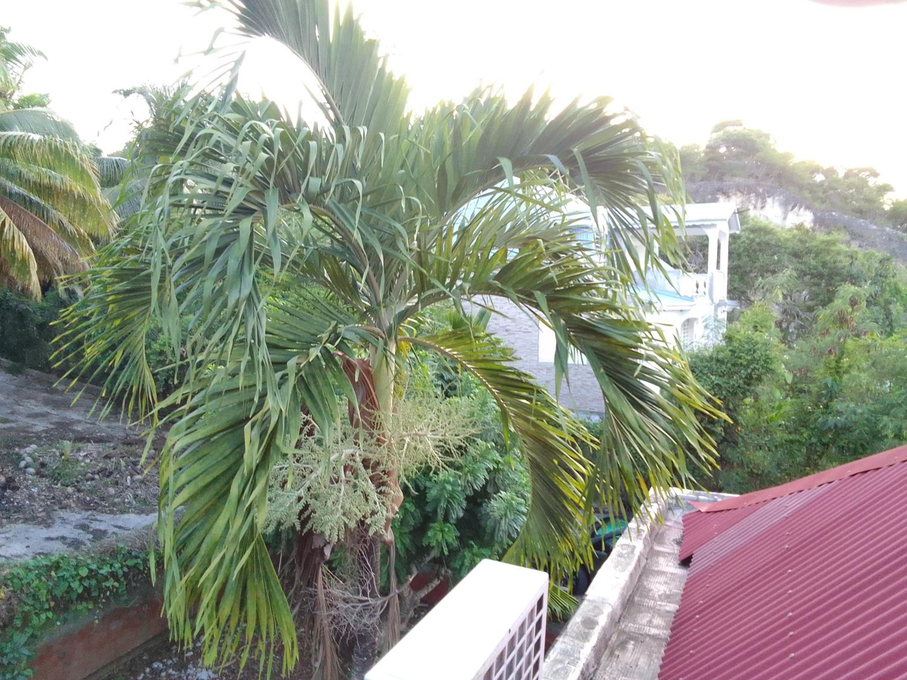 COCOLOFT de 135 m2 view 4