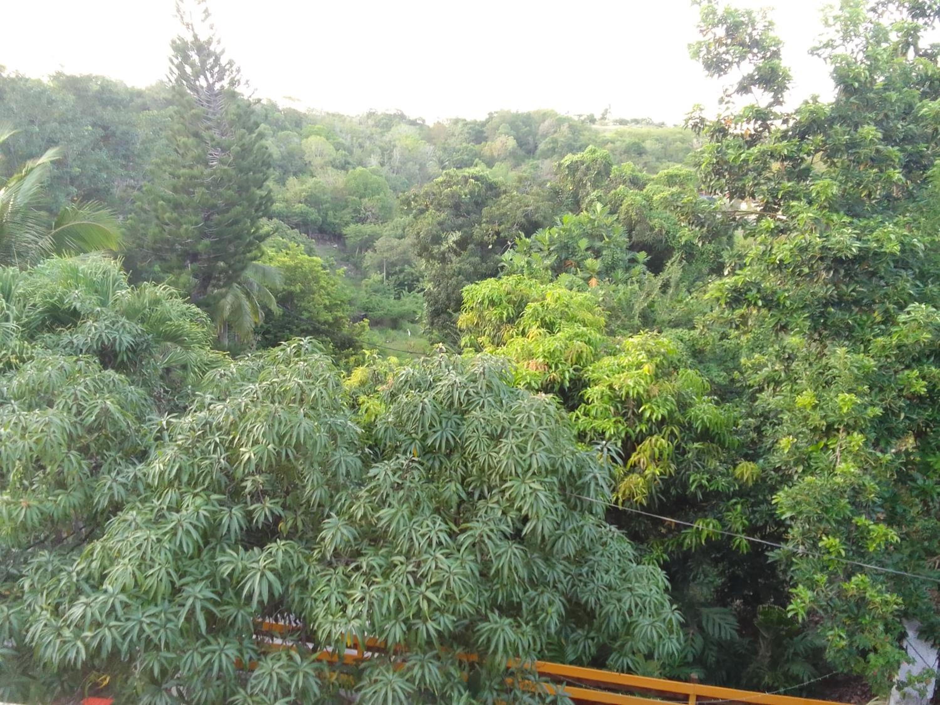 COCOLOFT de 135 m2 view 5