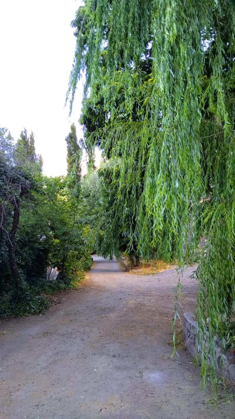 Casa de Montaña