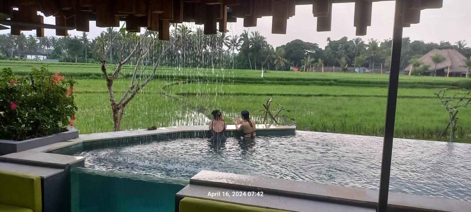 Villa Cakra - 4 bedroom Luxury Villa with Infinity Pool and Paddy Field View Ubud