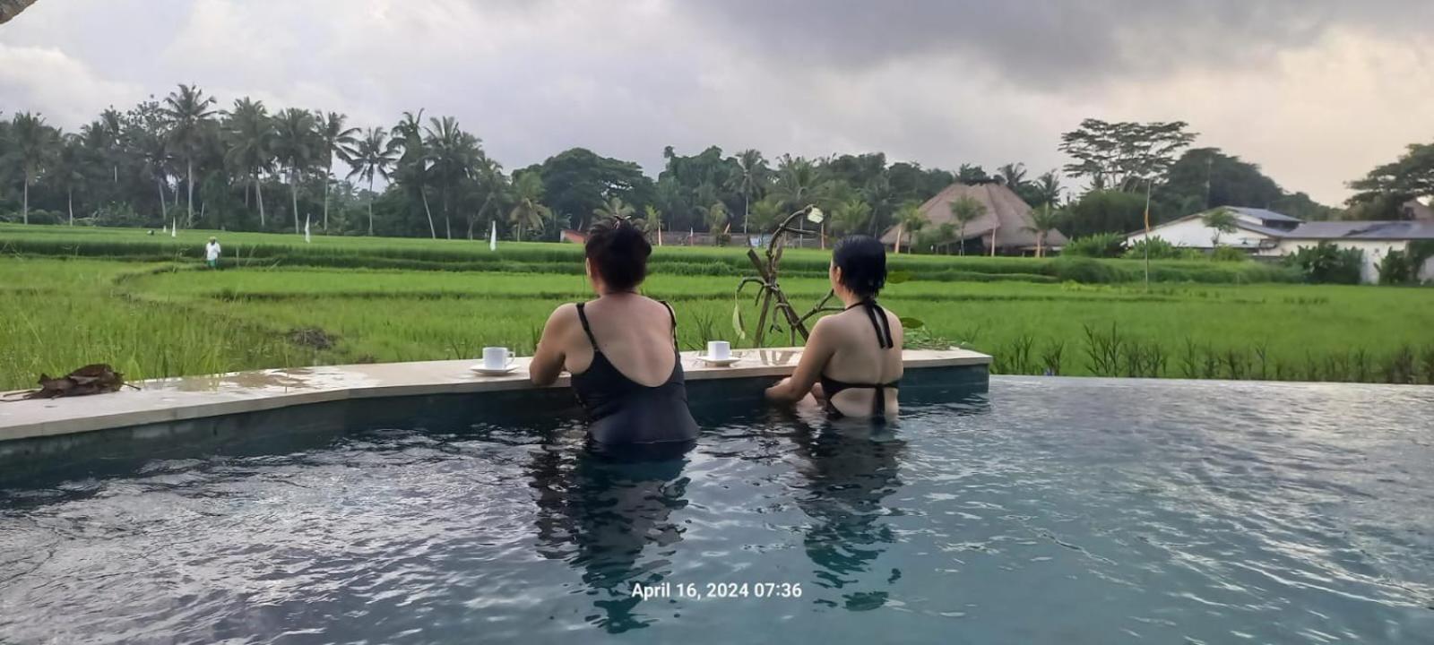 Villa Cakra - 4 bedroom Luxury Villa with Infinity Pool and Paddy Field View Ubud