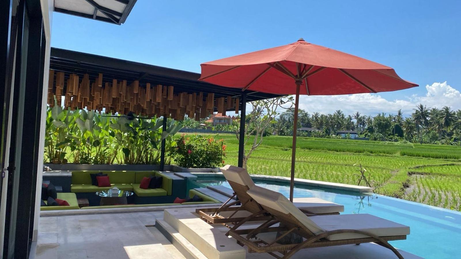 Villa Cakra - 4 bedroom Luxury Villa with Infinity Pool and Paddy Field View Ubud photo 5