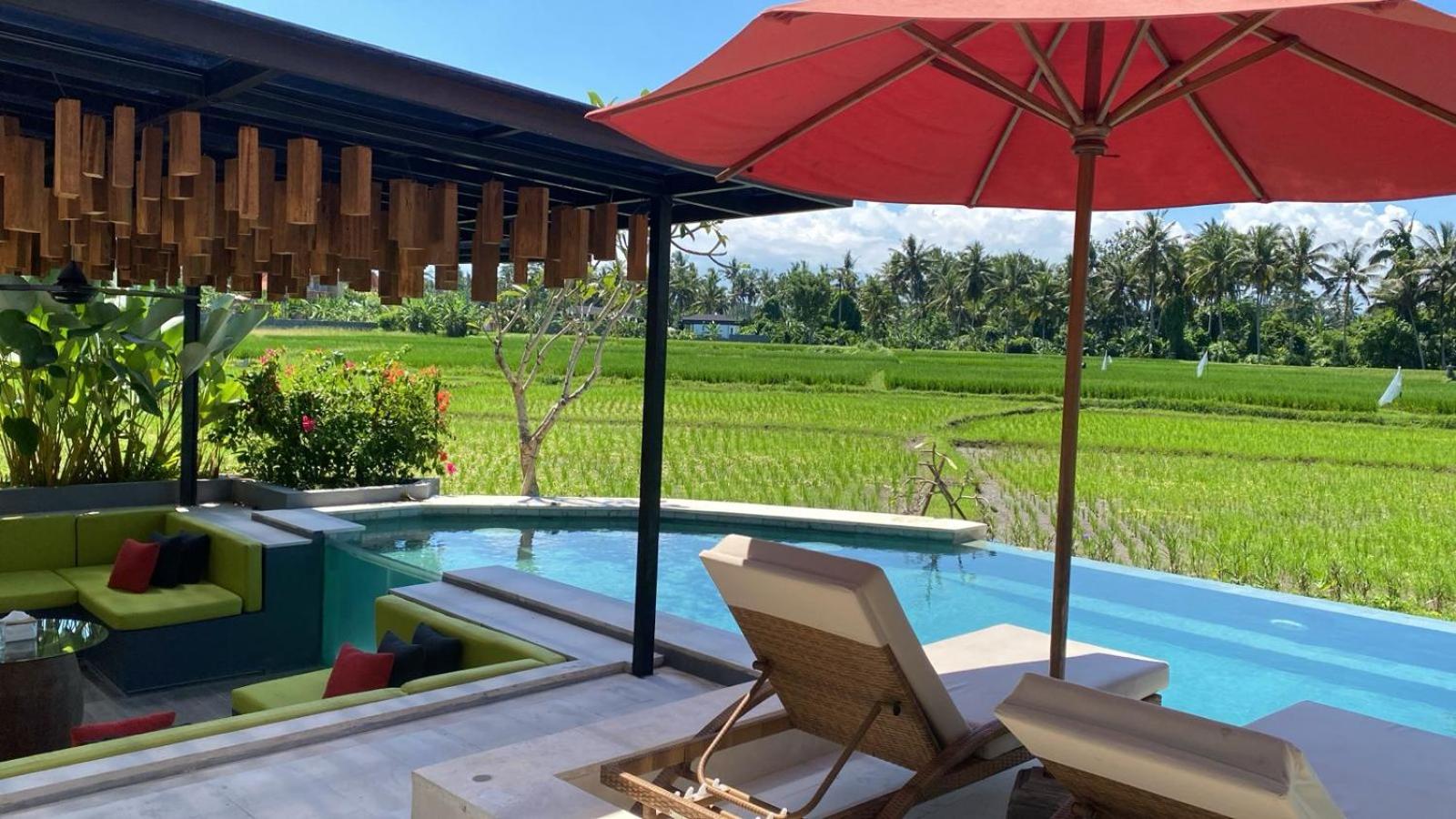 Villa Cakra - 4 bedroom Luxury Villa with Infinity Pool and Paddy Field View Ubud photo 4